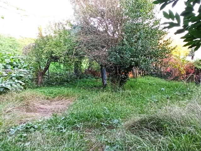 Villetta indipendente in vendita di 400 m² in Viale San Concordio