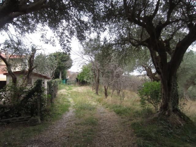 Villetta indipendente in vendita di 415 m² in Località San Flaviano