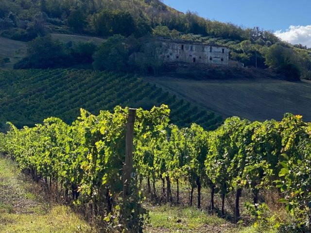 Villetta indipendente in vendita di 4500 m² in Via Piane Tronto