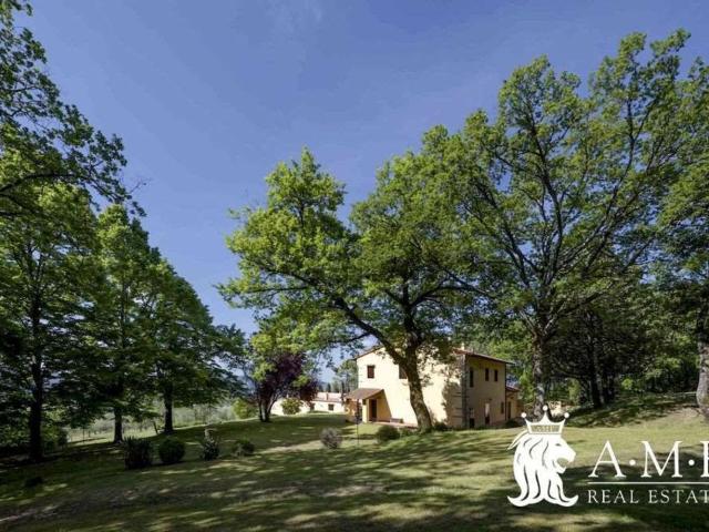 Villetta indipendente in vendita di 490 m² in Strada Provinciale 8
