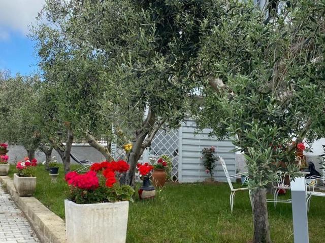 Villetta indipendente in vendita di 500 m²