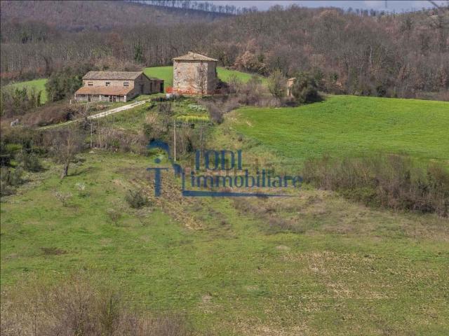 Villetta indipendente in vendita di 550 m² in Strada Statle 205