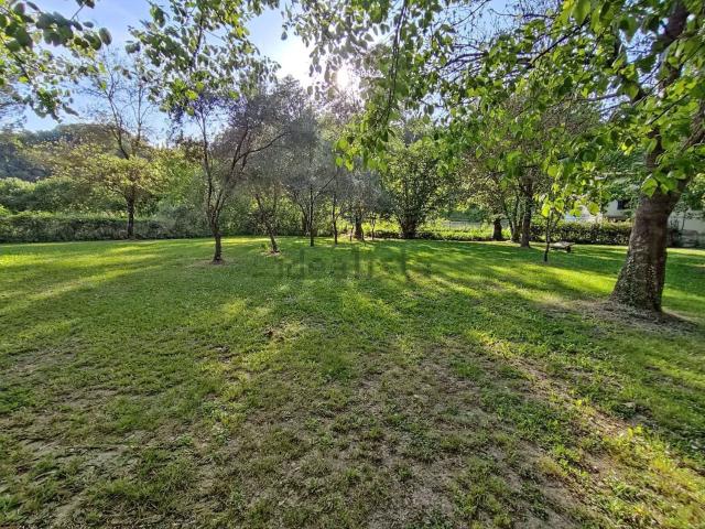Villetta indipendente in vendita di 552 m² in Via dei Platani, 31