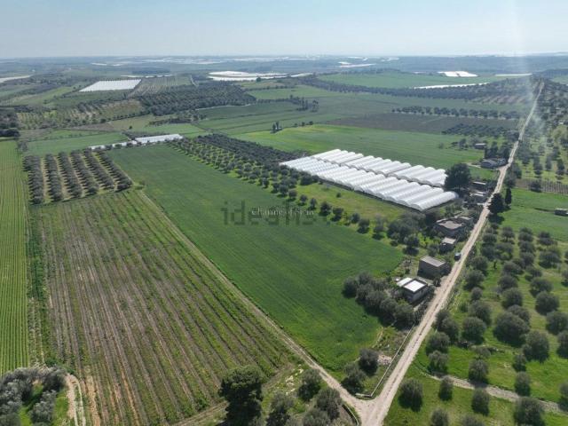 Villetta indipendente in vendita di 66 m² in Strada Provinciale 56