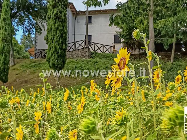 Villetta indipendente in vendita di 700 m² in Via Lama