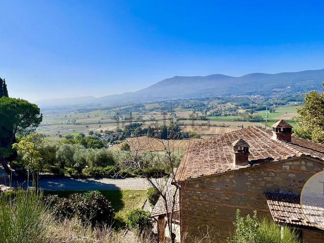 Villetta indipendente in vendita di 766 m²