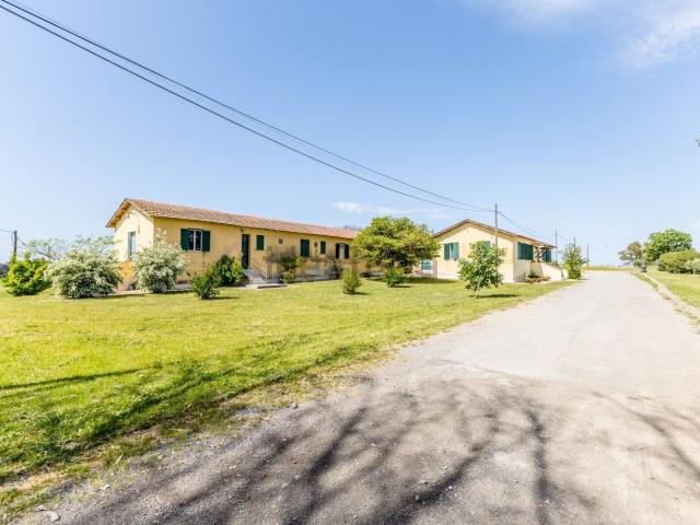 Villetta indipendente in vendita di 784 m² in Via Bosco Marengo, 92