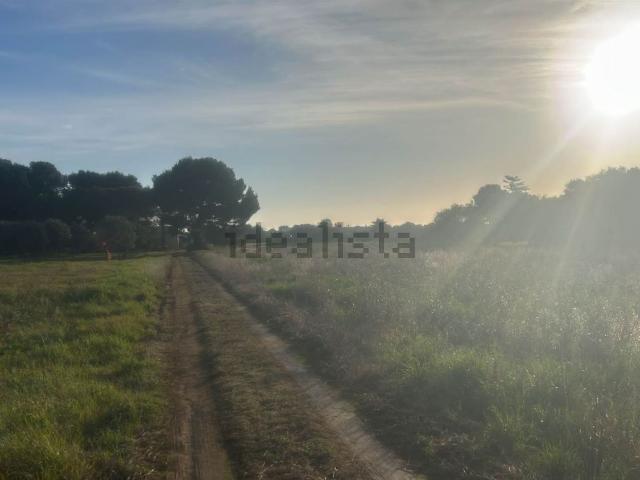 Villetta indipendente in vendita di 78 m² in Via Masseria Piccinna