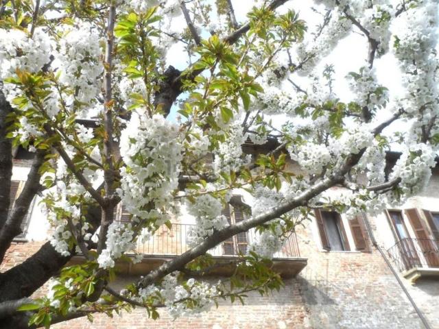 Villetta indipendente in vendita di 1000 m² in Circonvallazione Luigi Cantù, 37