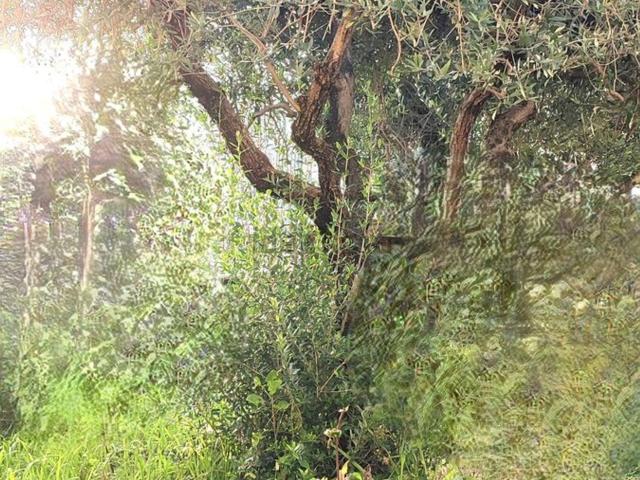 Villetta indipendente in vendita di 100 m² in Viale Macallè, 16