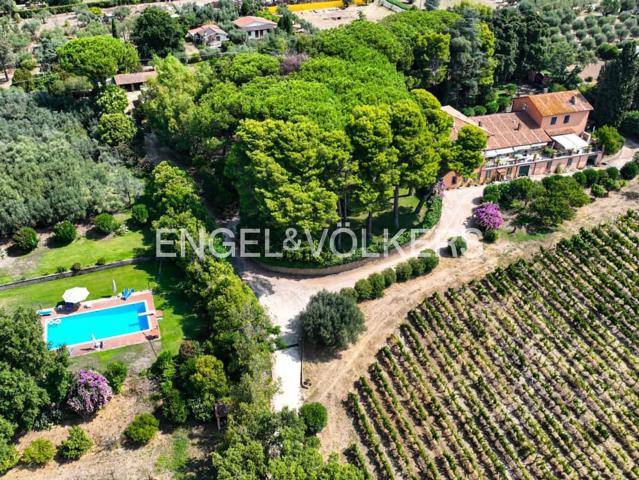 Villetta indipendente in vendita di 1037 m² in Via Montegiove Nuovo