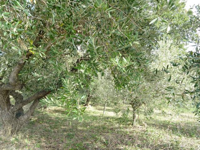 Villetta indipendente in vendita di 103 m² in Contrada Ammorto