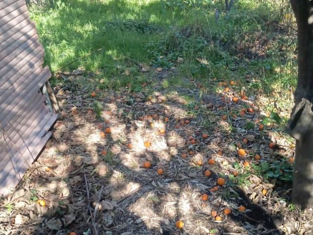 Villetta indipendente in vendita di 116 m² in Via Passopomo, 54