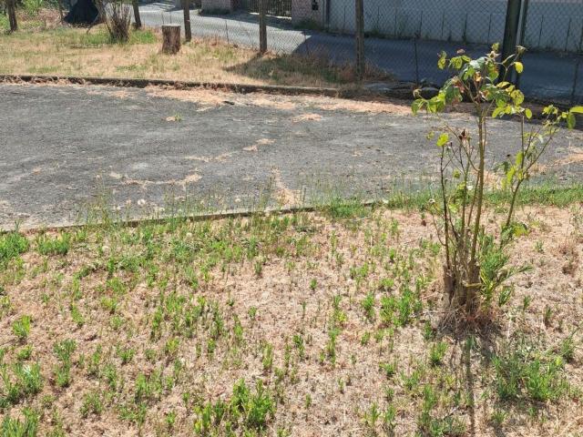 Villetta indipendente in vendita di 120 m² in Via Capannone