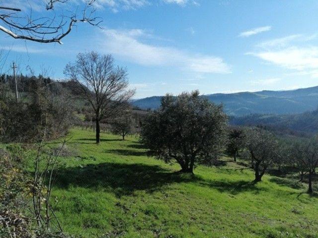 Villetta indipendente in vendita di 1300 m²