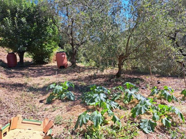 Villetta indipendente in vendita di 135 m² in Via Petroniano
