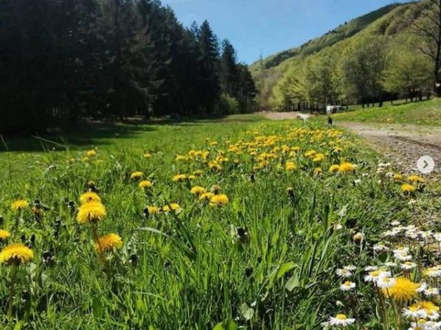 Villetta indipendente in vendita di 150 m² in Via Breva, 8