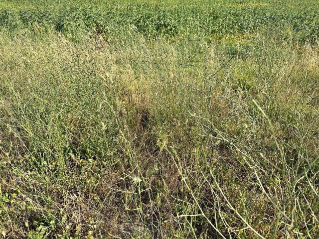 Villetta indipendente in vendita di 155 m² in Strada Provinciale della Giunca