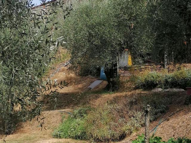Villetta indipendente in vendita di 160 m² in Via della Chiesa XII, 7