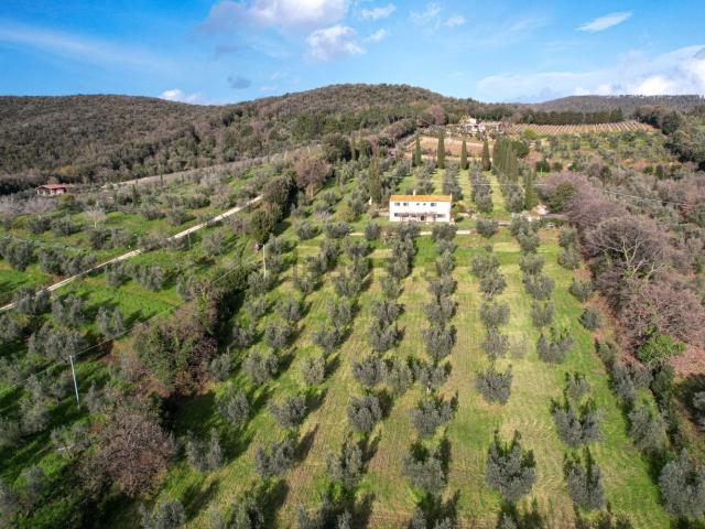 Villetta indipendente in vendita di 175 m² in Via di casavecchia