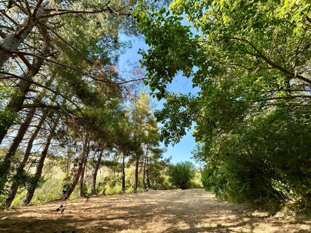 Villetta indipendente in vendita di 200 m²