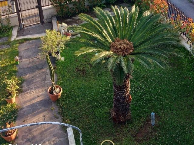 Villetta indipendente in vendita di 200 m² in Via delle Arene