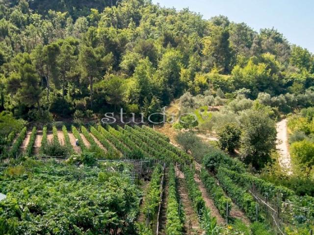 Villetta indipendente in vendita di 200 m² in Via delle Mimose