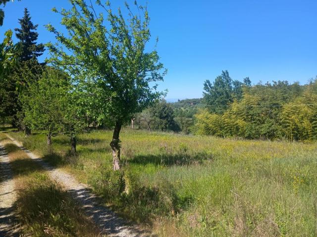 Villetta indipendente in vendita di 200 m² in Via Nuova