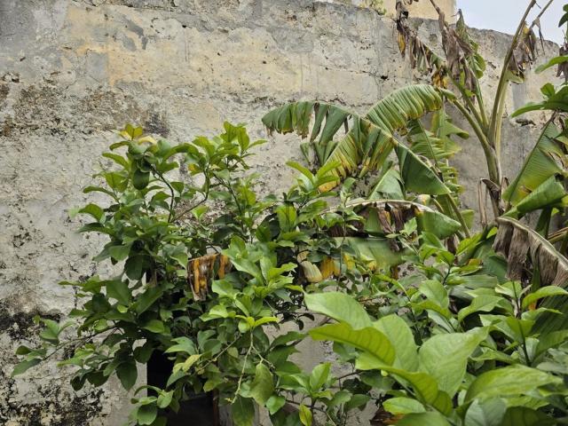 Villetta indipendente in vendita di 208 m² in Vico Mottura, 51