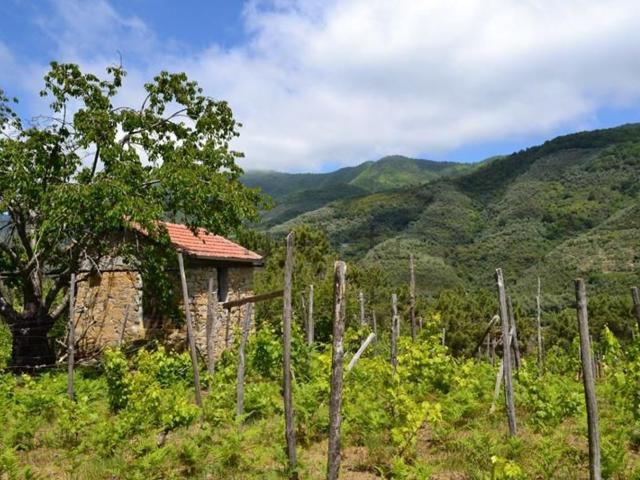Villetta indipendente in vendita di 20 m² in Strada Negre, 7