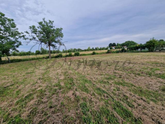 Villetta indipendente in vendita di 210 m² in Via Noalese Sud