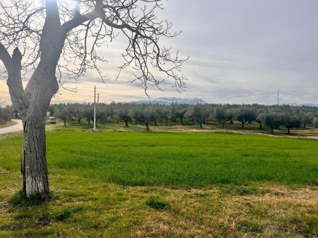 Villetta indipendente in vendita di 212 m² in Contrada Nora, 2