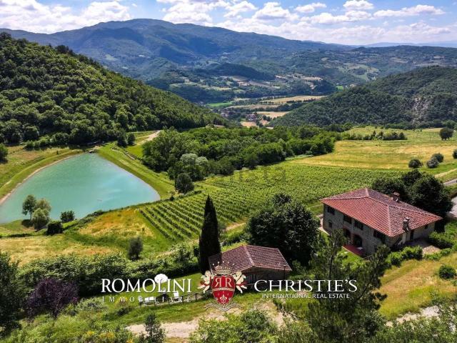 Villetta indipendente in vendita di 2286 m²
