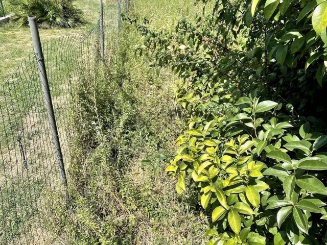 Villetta indipendente in vendita di 230 m² in Via Romana, 182