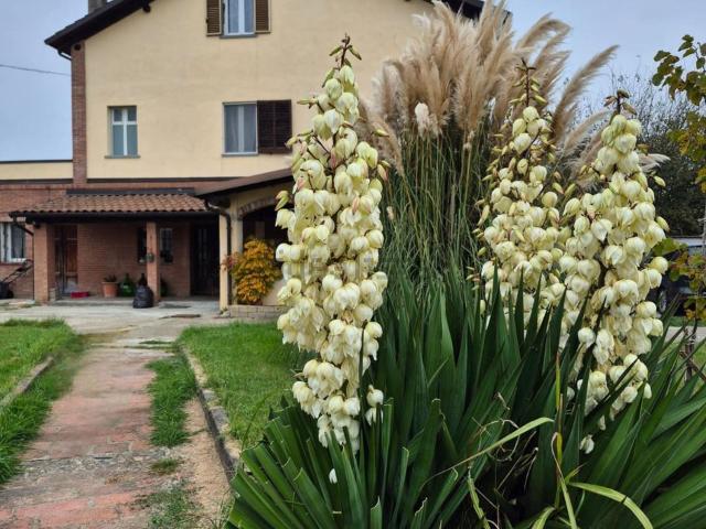 Villetta indipendente in vendita di 230 m² in Strada Valtiglione