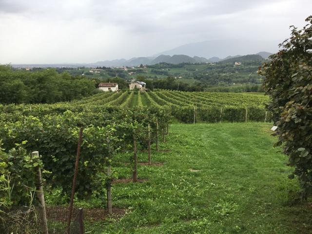 Villetta indipendente in vendita di 240 m² in Via Pianale