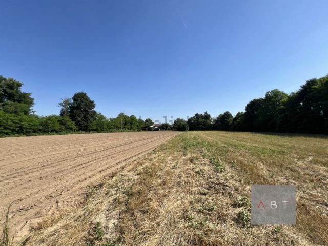 Villetta indipendente in vendita di 242 m²