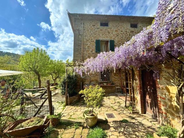 Villetta indipendente in vendita di 246 m² in Strada Provinciale Marecchia, 11