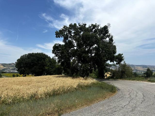Villetta indipendente in vendita di 250 m² in Contrada Monte Pacini, 4