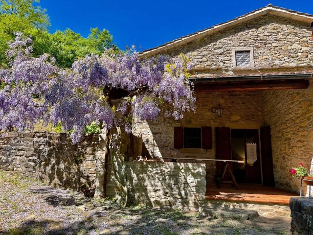 Villetta indipendente in vendita di 254 m² in Via Dagnana, 106