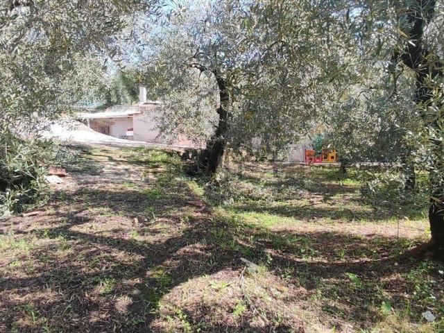 Villetta indipendente in vendita di 280 m² in Via Rotabile
