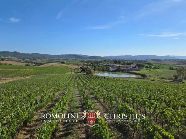 Villetta indipendente in vendita di 300 m²