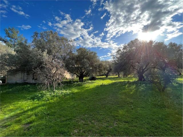 Villetta indipendente in vendita di 300 m² in Via delle Orchidee