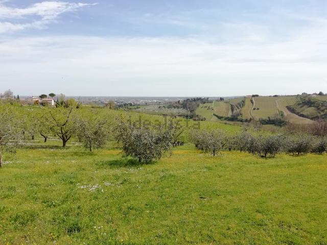 Villetta indipendente in vendita di 300 m² in Via Madonna dell&apos Olivo, 2633