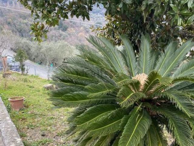 Villetta indipendente in vendita di 300 m² in Via Terma