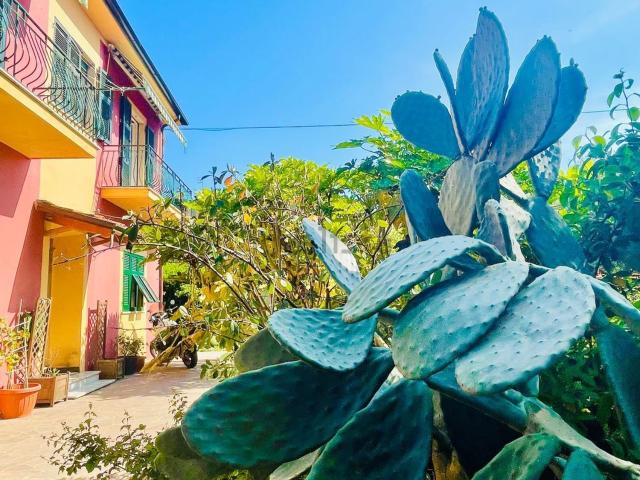 Villetta indipendente in vendita di 300 m² in Via Villefranche de Rouergue