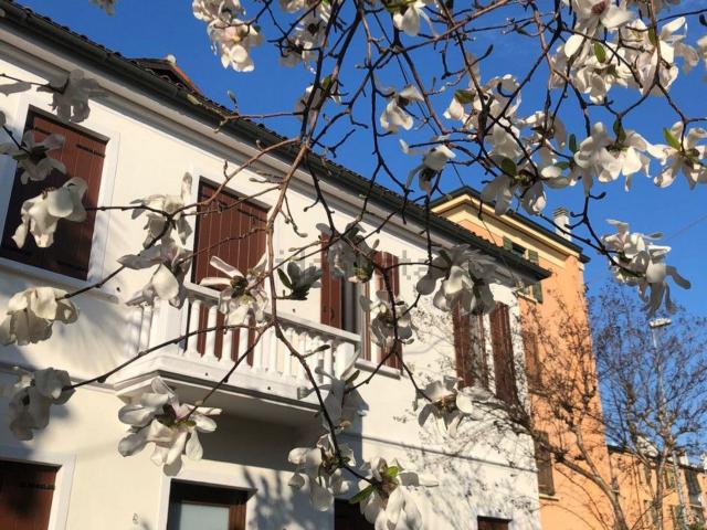 Villetta indipendente in vendita di 300 m² in Vicolo del Portello