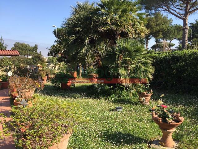 Villetta indipendente in vendita di 305 m² in Via Numa Campi