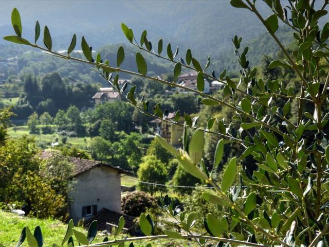 Villetta indipendente in vendita di 320 m² in Via del Luch, 13