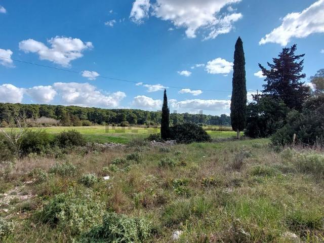 Villetta indipendente in vendita di 320 m² in Strada Comunale Luci
